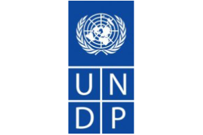 24 UNDP